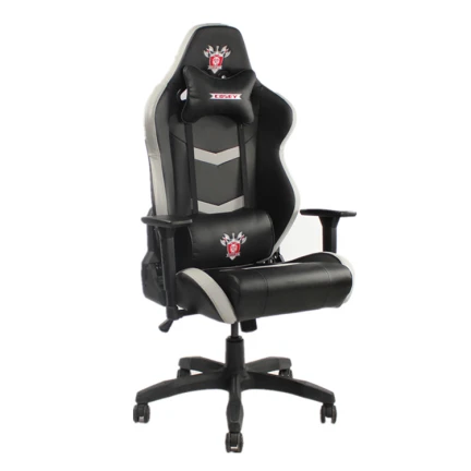 Ergonomics Racing Chair